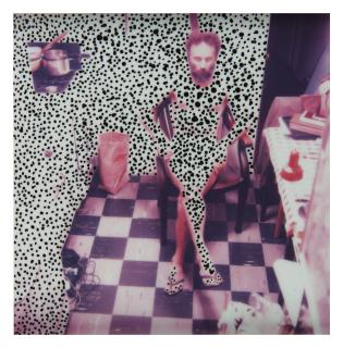 Lucas Samaras - Photo Transformation