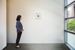 Lucas  Samaras - Photo-Transformation