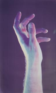 Lucas Samaras - Ultra-Large Hand