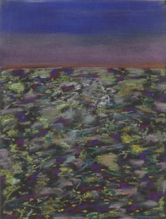 Lucas Samaras - Untitled