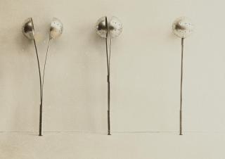 Lucia Moholy - Teekugeln von Josef Knau, Bauhaus Weimar