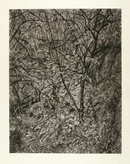 Lucian Freud, O.M., C.H. - Garden In Winter (F. 97)