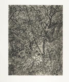 Lucian Freud, O.M., C.H. - Garden In Winter (F. 97)
