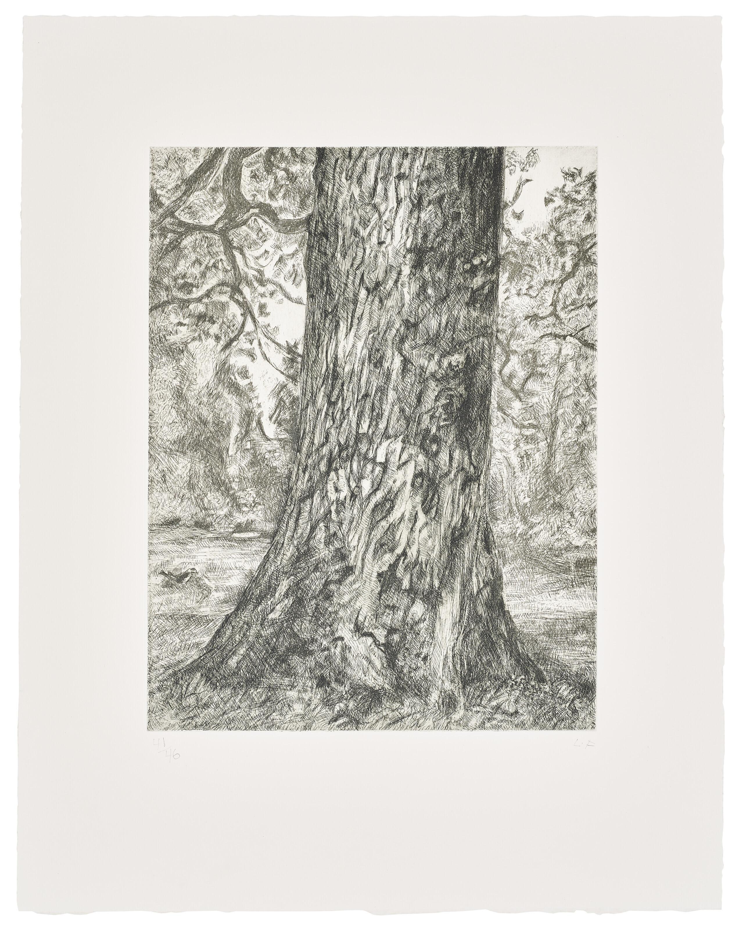 Lucian Freud - After Constable\'s Elm