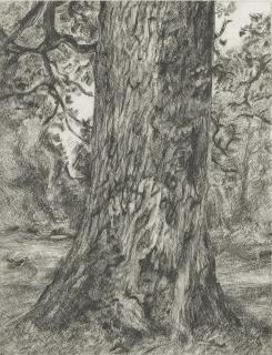 Lucian Freud - After Constable\'S Elm