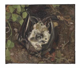 Lucian Freud - Another Dead Bat