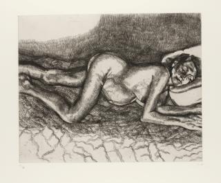 Lucian Freud - Before The Fourth (See Figura P. 26 Fig. 12; Not In Hartley)