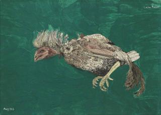 Lucian Freud - Dead Bird