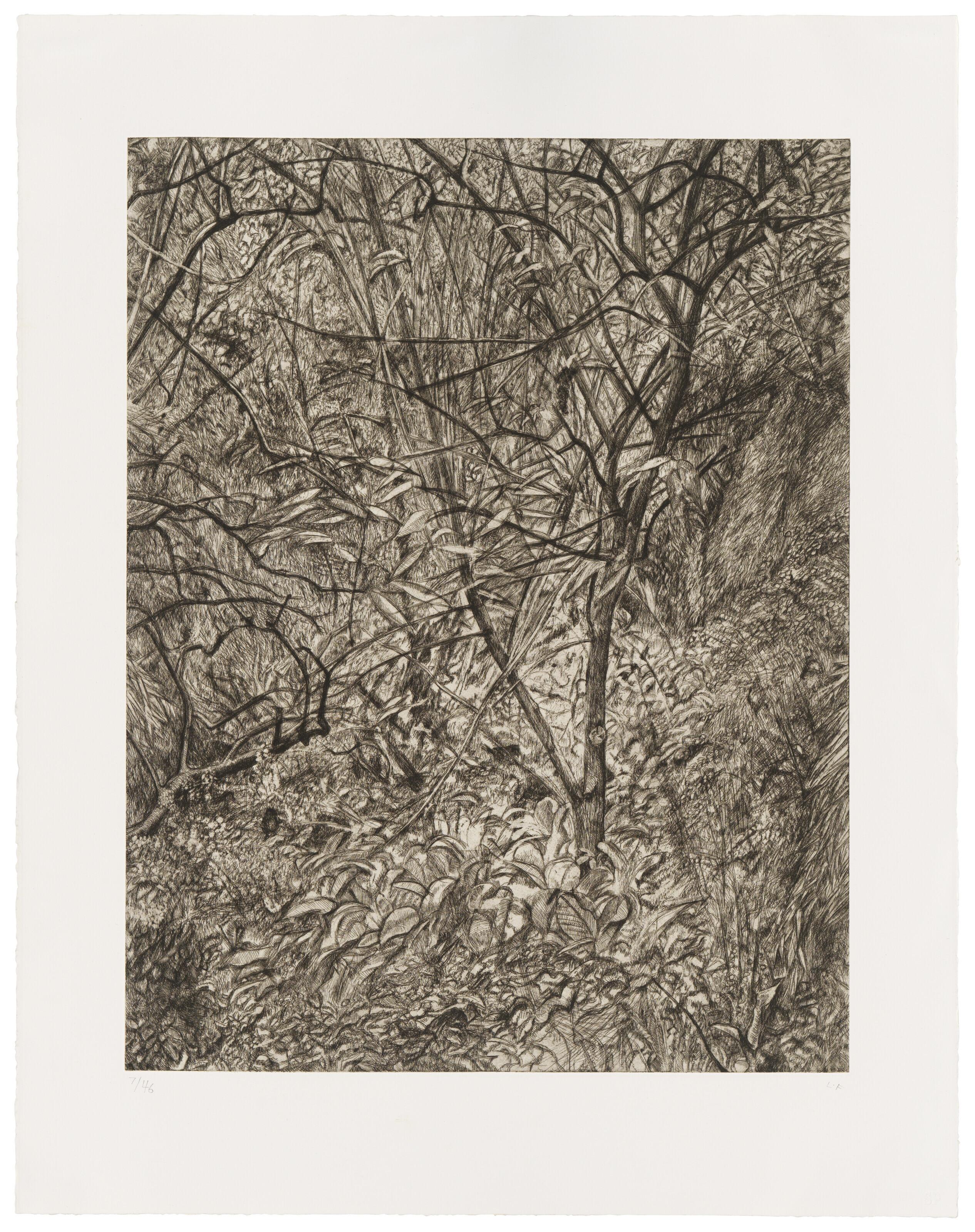 Lucian Freud - Garden in Winter