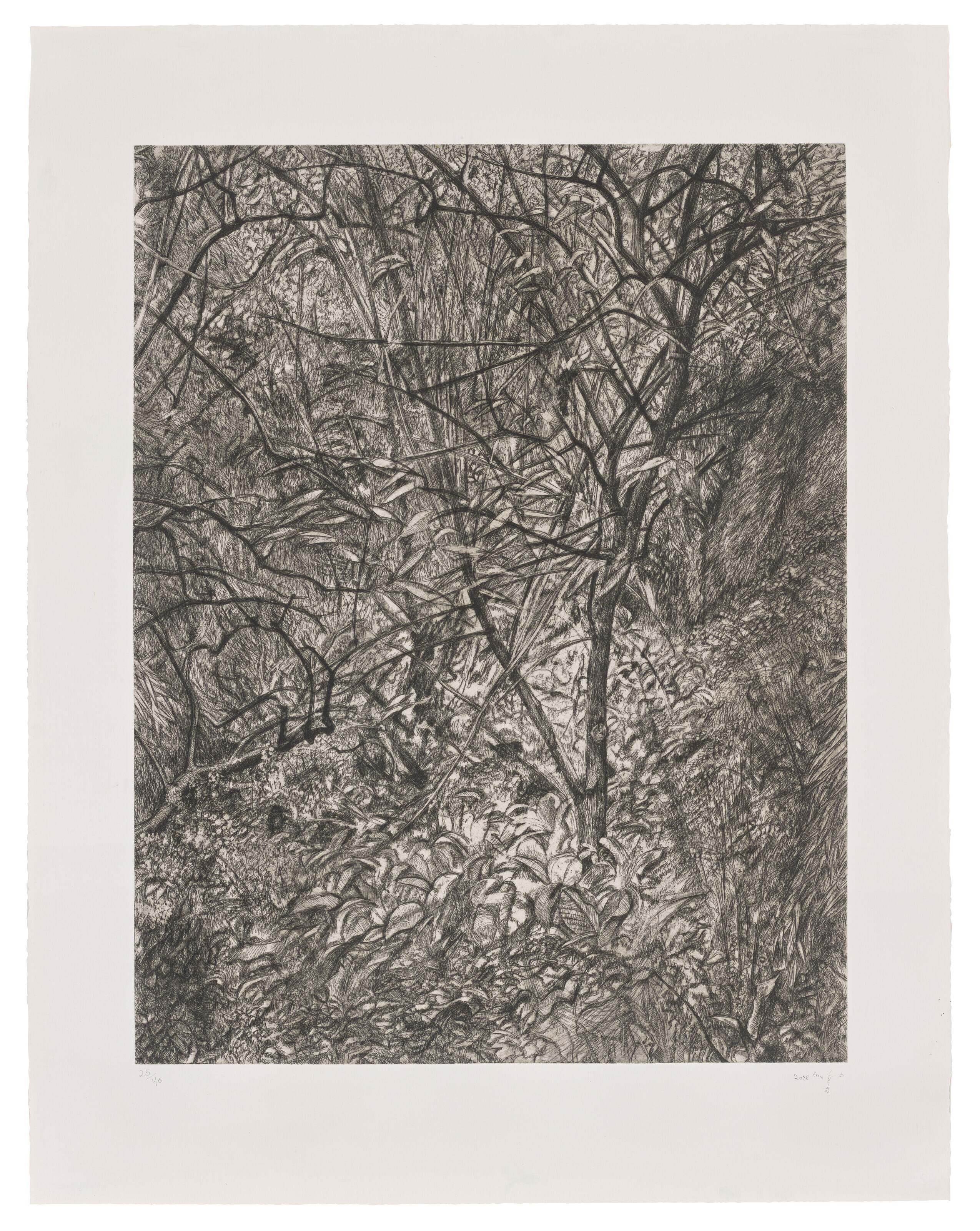 Lucian Freud - Garden in Winter