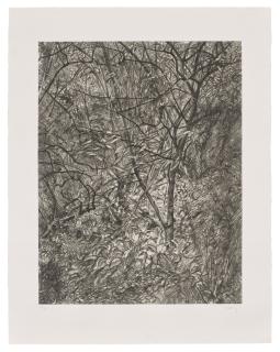 Lucian Freud - Garden in Winter