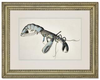 Lucian Freud - Lobster