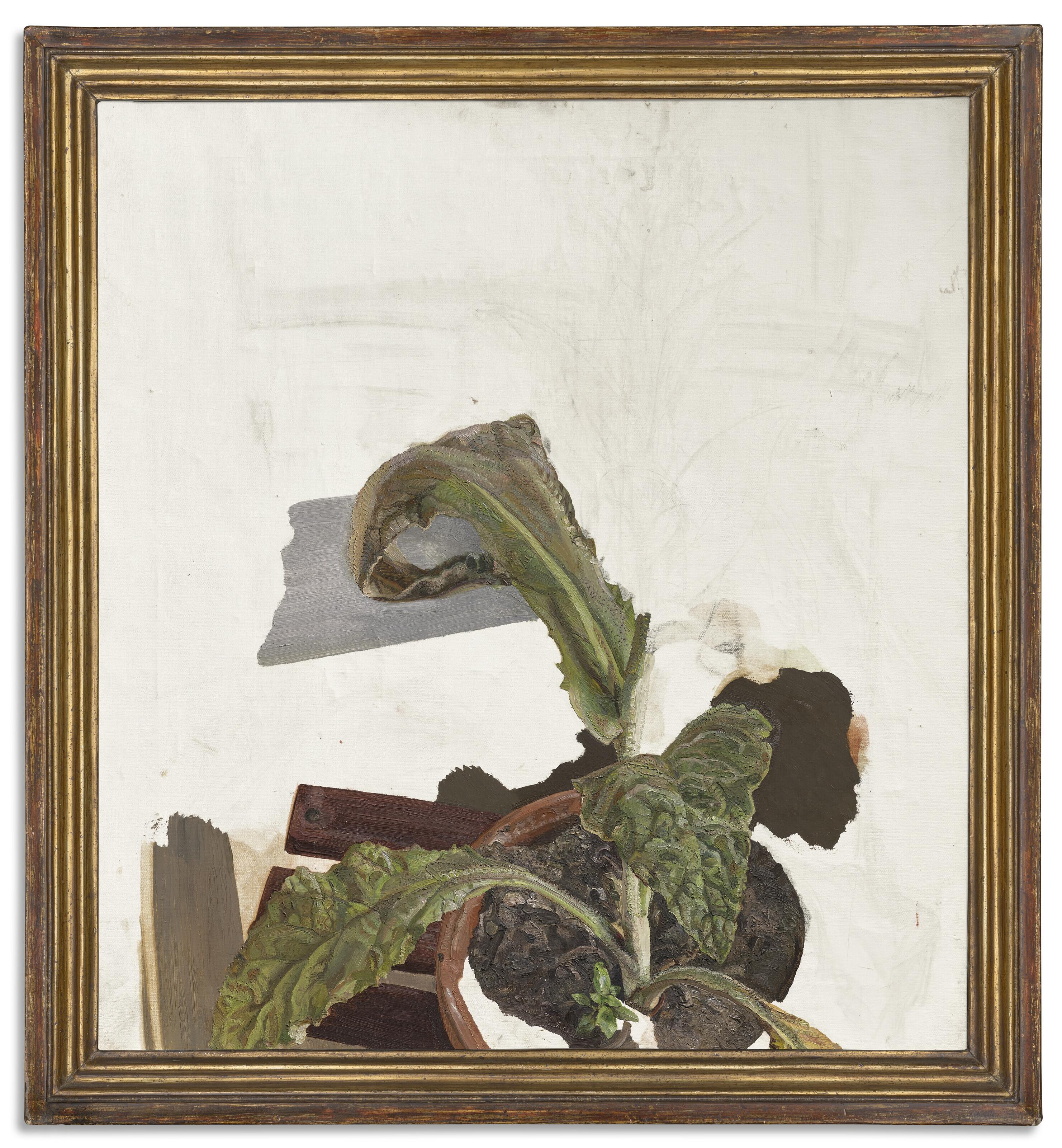 Lucian Freud - Plant Fragment