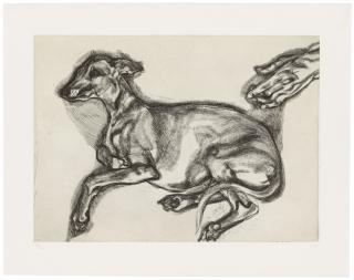 Lucian Freud - Pluto Aged Twelve