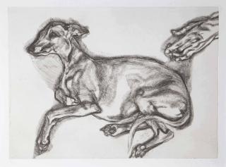 Lucian Freud - Pluto aged Twelve