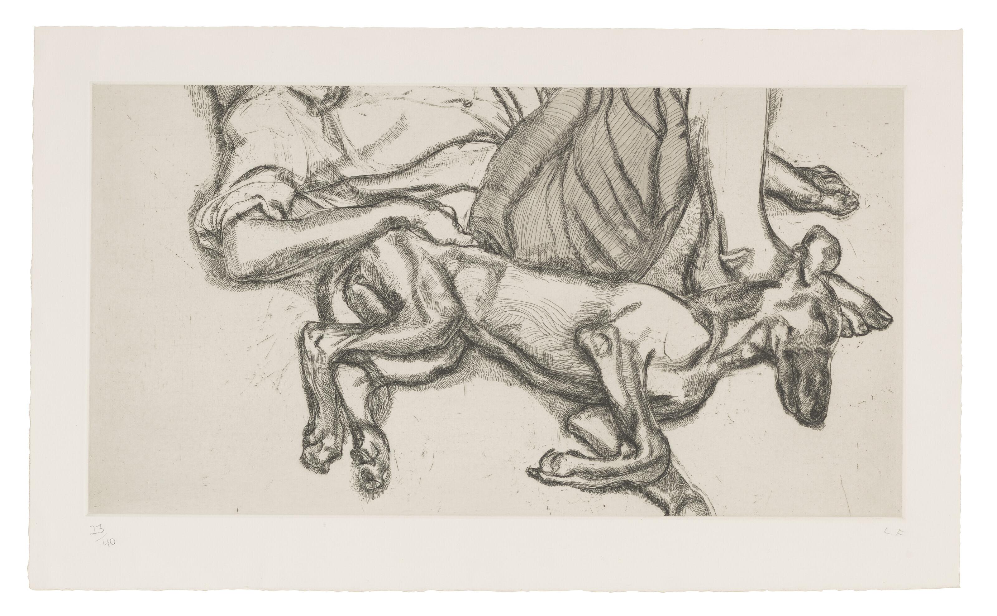 Lucian Freud - Pluto