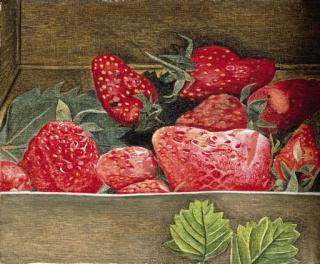 Lucian Freud - Strawberries