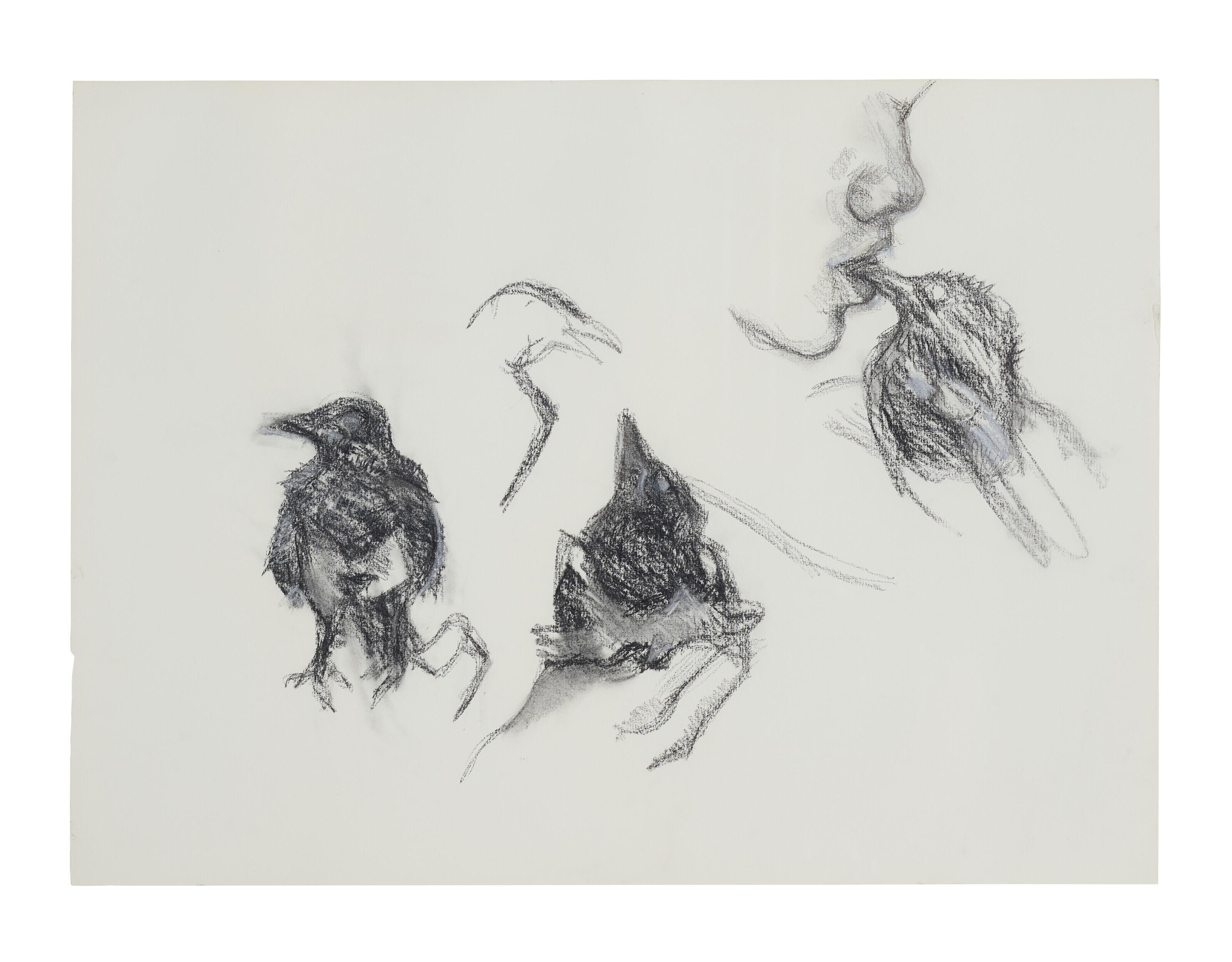 Lucian Freud - Young Magpie