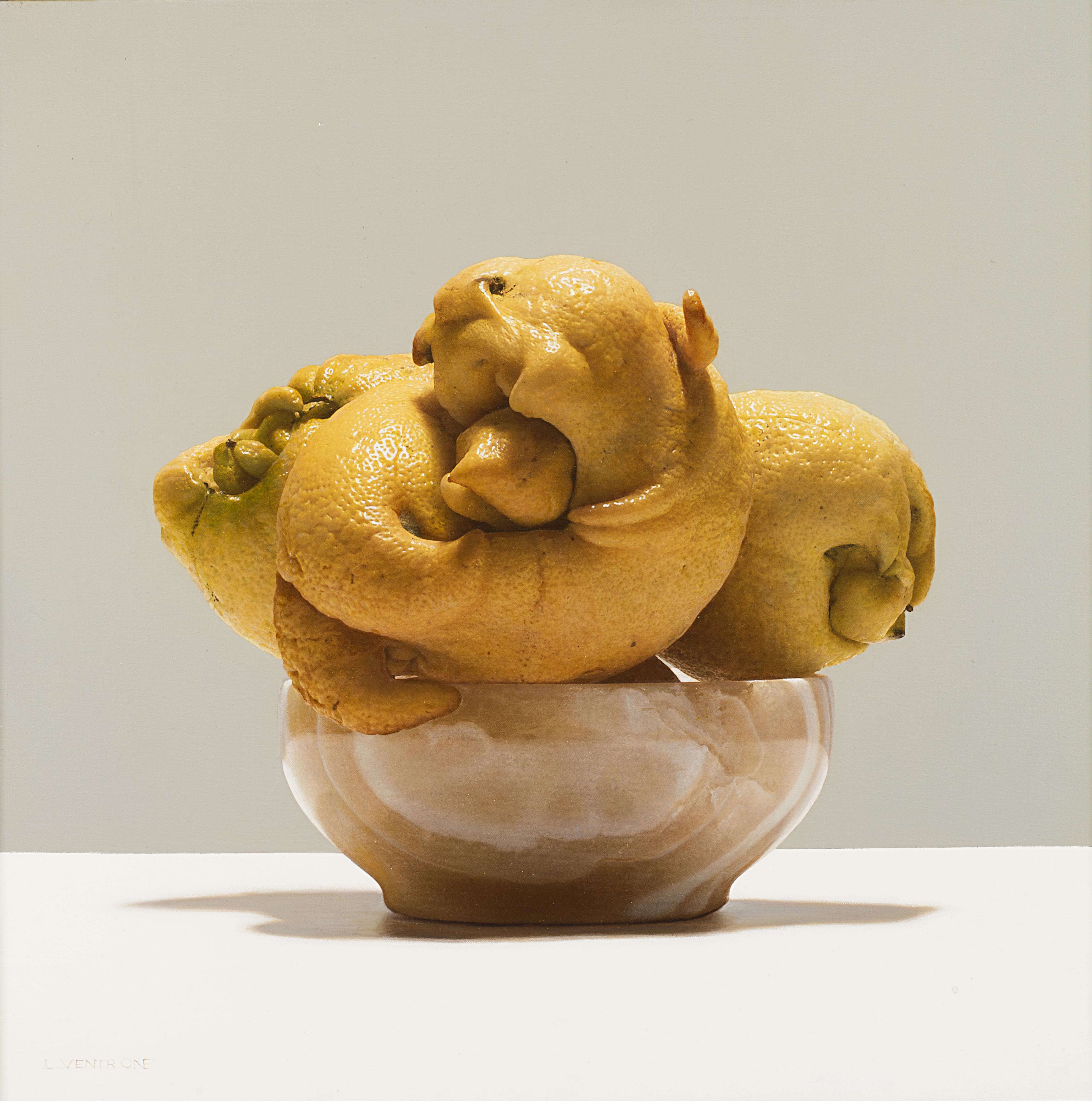 Luciano Ventrone - Il disegno dell\'onda