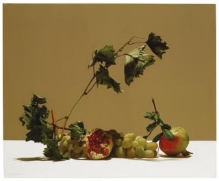 Luciano Ventrone - Tralciosigned And Dated 92; Signed, Titled And Dated 92 On The Reverse, Oil On Canvas