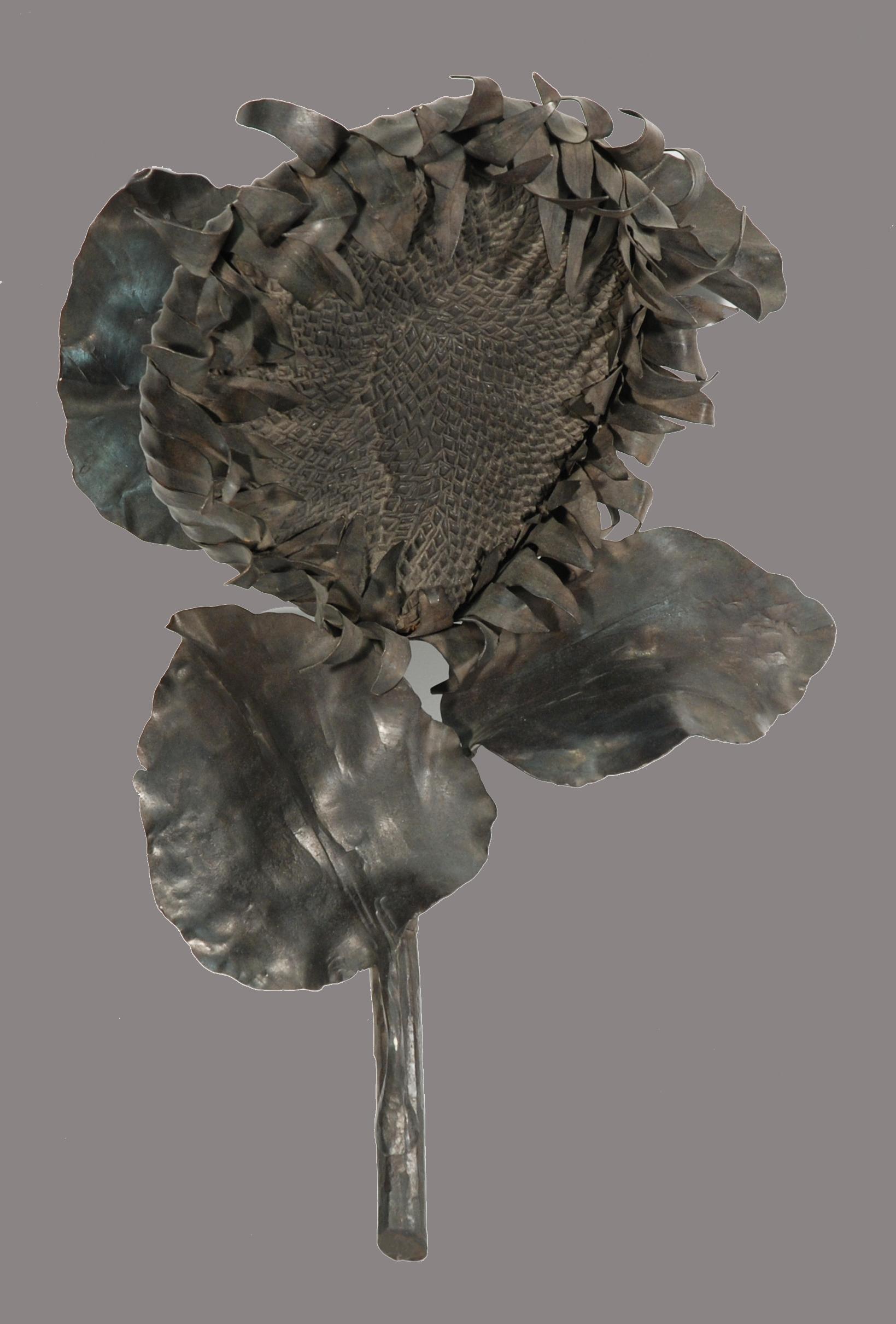 Luciano Zanoni - Girasole