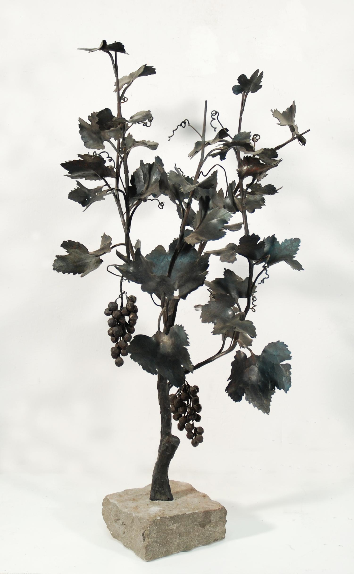 Luciano Zanoni - Pianta d\'uva