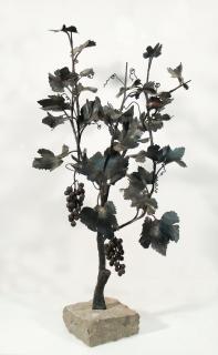 Luciano Zanoni - Pianta d\'uva