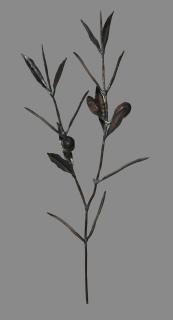 Luciano Zanoni - Ramo di ulivo