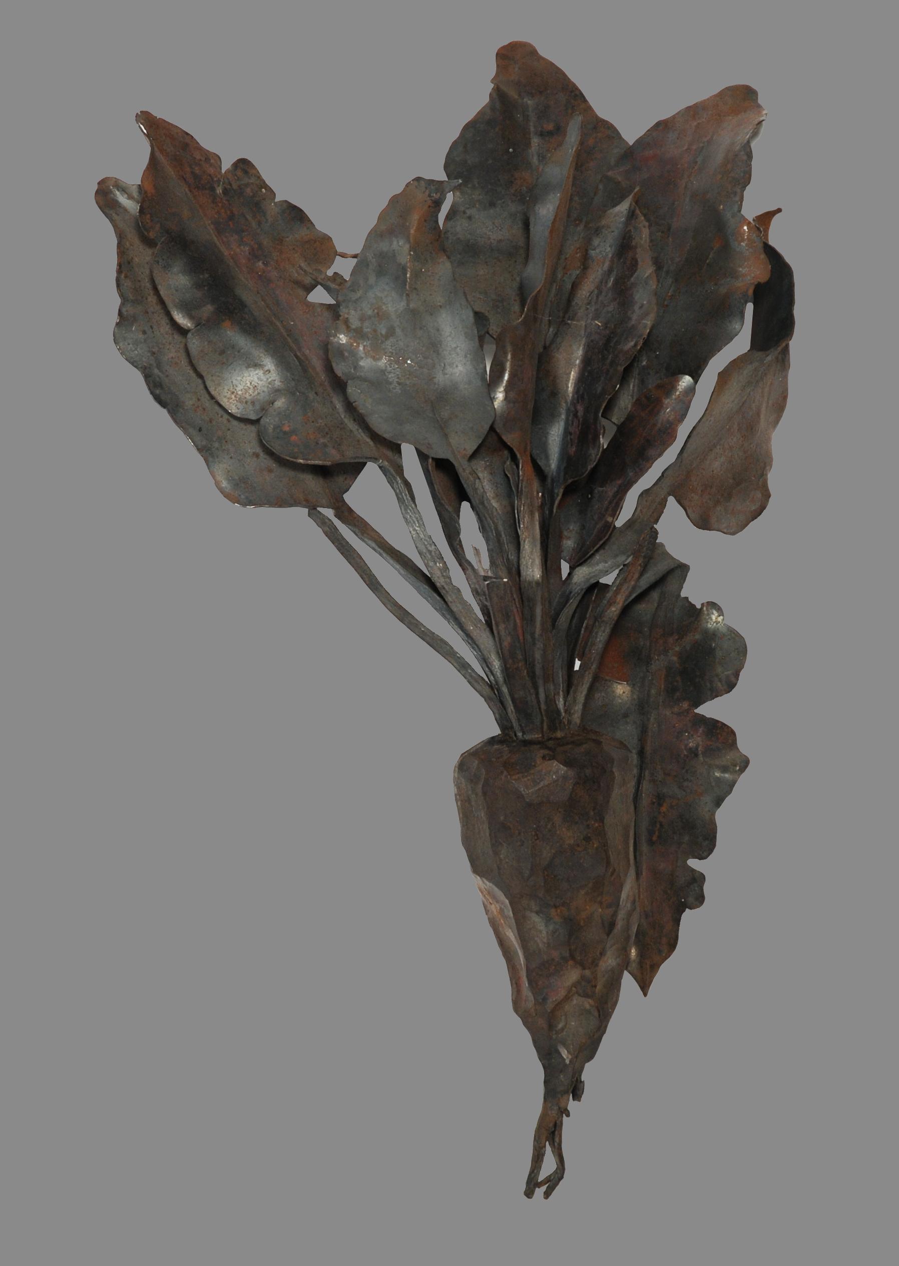 Luciano Zanoni - Scultura in ferro battuto raffigurante barbabietola (h. cm 65)