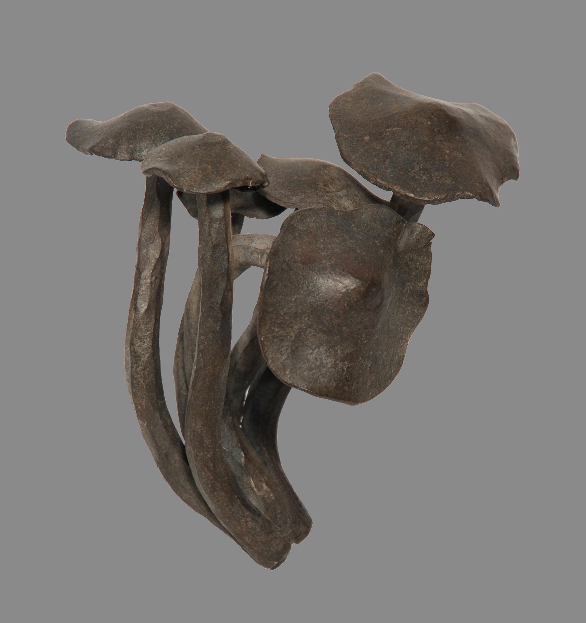Luciano Zanoni - Scultura in ferro battuto raffigurante funghi (cm 17x15x9) Siglati alla base