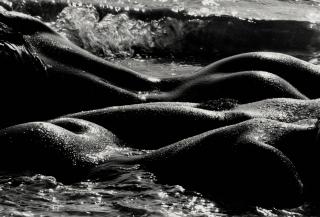 Lucien Clergue - Les Géantes, Camargue 2