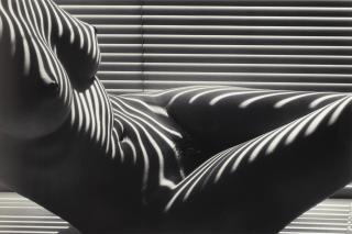 Lucien Clergue - Nu Zébré I, New York\'