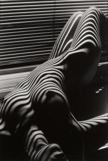 Lucien Clergue - Nu Zebre, New York