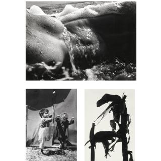 Lucien Clergue - \'Nus De La Mer\', \'Gitans\' And \'Maïs\'. Three Albums, 1962