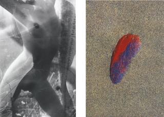 Lucien Clergue - Selected Portfolios