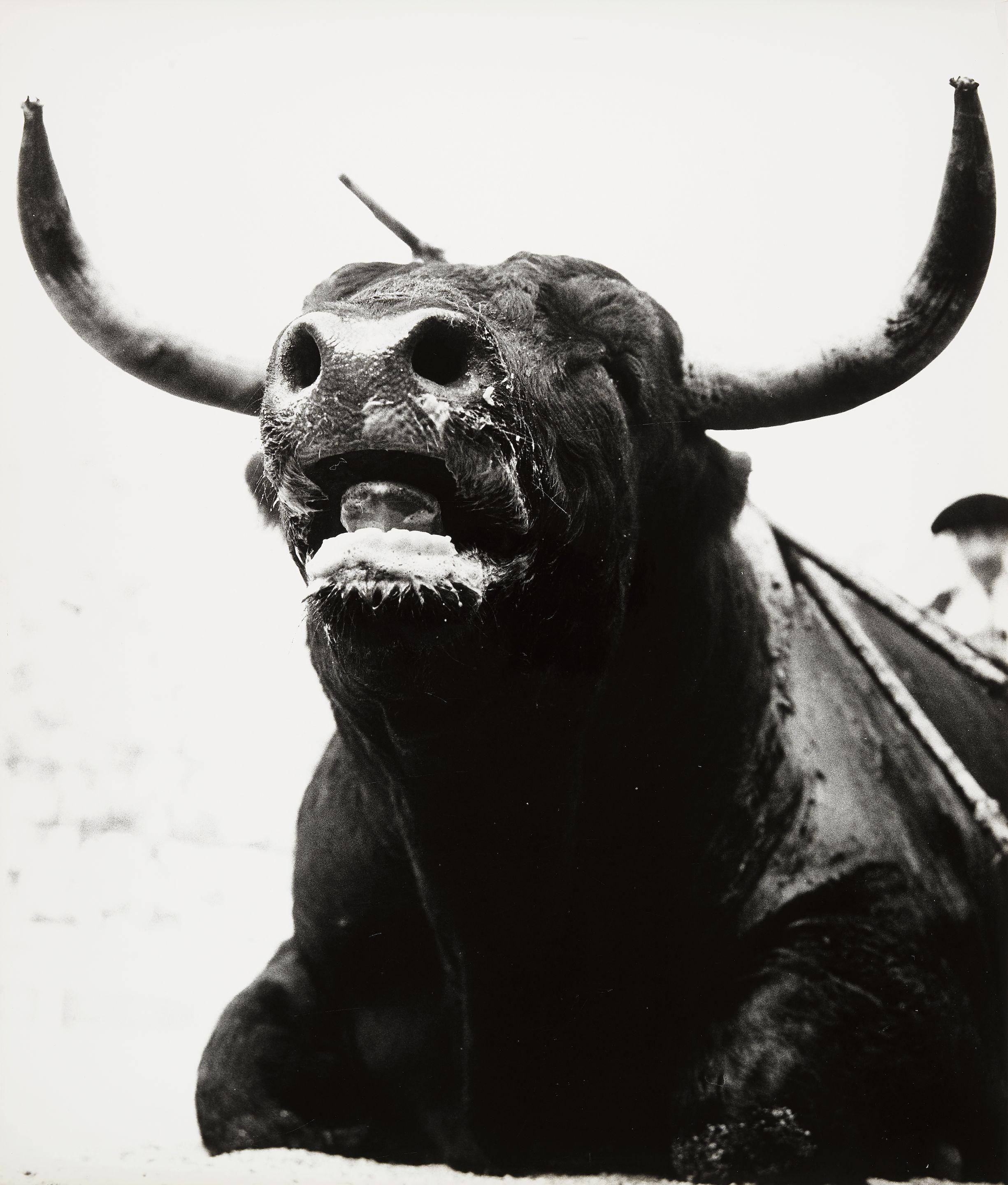 Lucien Clergue - Selected studies 9