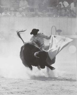 Lucien Clergue - Tauromachies I