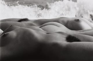 Lucien Clergue - Triade de Genèse, Carmargue