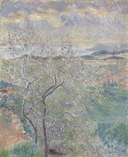 Lucien Pissarro - L\'Amandier de l\'Averne, Bormes