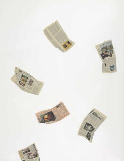 Lucien Smith - A snow-white swan swiftly to catch a slowly-swimming snake in a lake