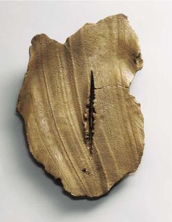 Lucio Fontana - Concetto spaziale, Natura