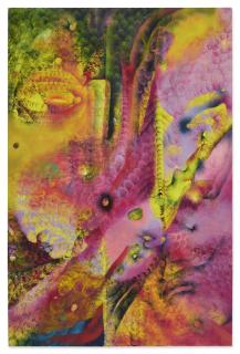 Lucy Bull - Special Guest