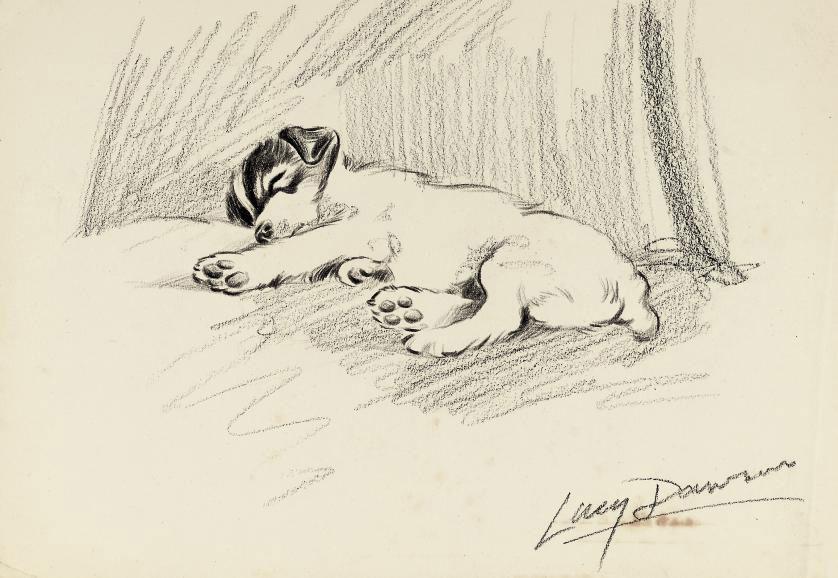 Lucy Dawson - An afternoon nap (illustrated); and A cocker spaniel