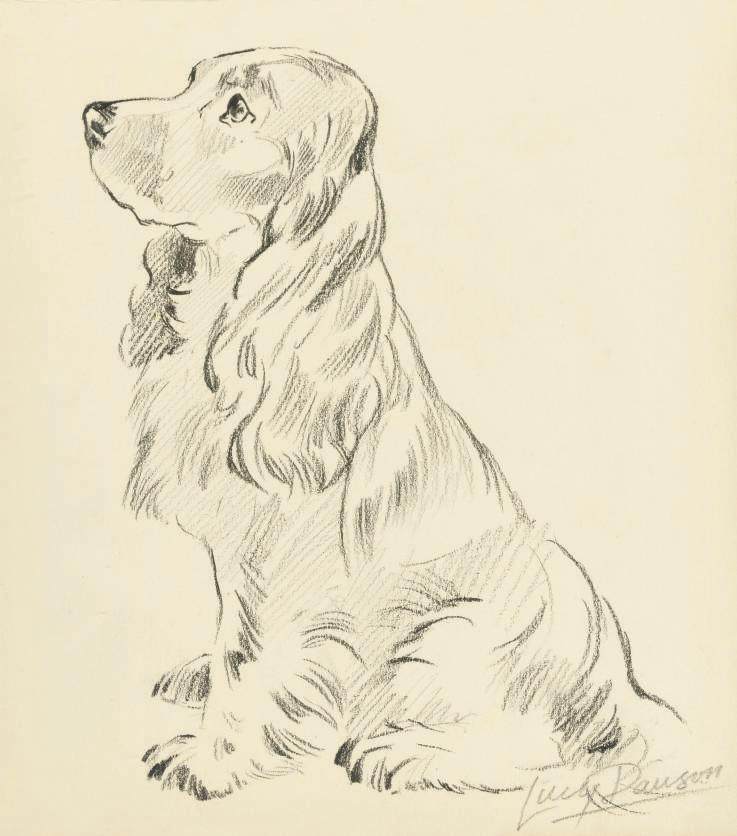 Lucy Dawson - Five studies of dogs including: A cocker spaniel; and A terrier