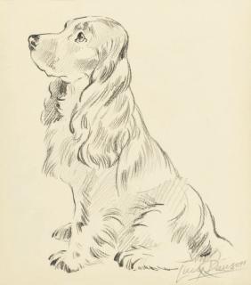 Lucy Dawson - Five studies of dogs including: A cocker spaniel; and A terrier