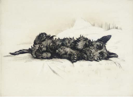 Lucy Dawson - Morning, a Scottie dog lying on a bed