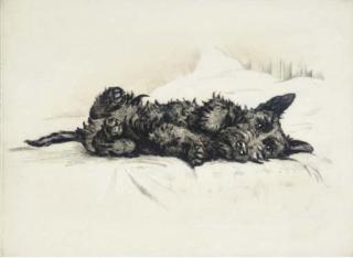 Lucy Dawson - Morning, a Scottie dog lying on a bed