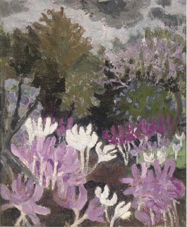 Lucy Harwood - Crocus