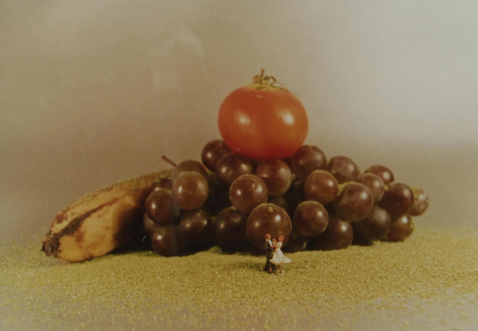 Ludger Gerdes - Ohne Titel (Früchte)