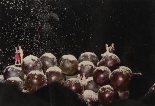 Ludger Gerdes - Ohne Titel (Weintrauben im Schnee)